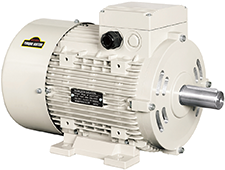 Torque Motor